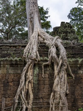 Siem Reap Kamboçya 'daki Angkor Wat Budist Tapınağı.