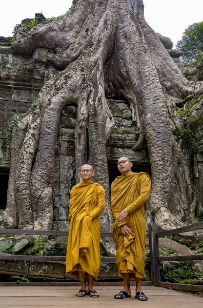 Twee Monniken Post Voor Beroemde Boom Bij Angkor Wat Boeddhistische Stockafbeelding