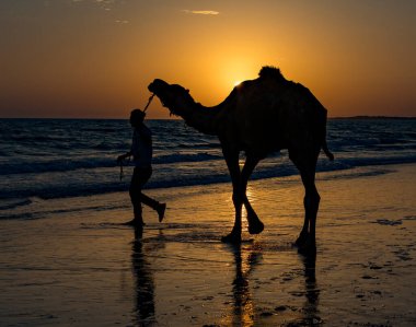 Gün batımında sahilde deveyle yürüyen bir insanın silueti.