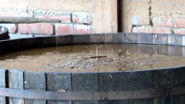 Küçük fıçılarda agave pina mayalamak, geleneksel metodların sergilendiği Oaxaca, Meksika 'da mezcal üretime hazırlanıyor.