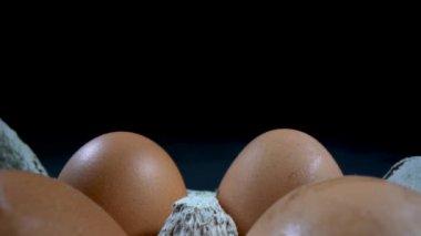 Yumurtaları farklı gelişim aşamalarında gösteren dört fotoğraf serisi