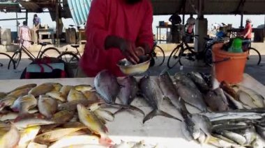 Balıkçı Negombo, Sri Lanka 'da canlı deniz ürünleri satışları sergileyen hareketli bir pazarda taze balıkların üzerine su döküyor.
