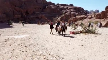 Eşeğe binen turistler Ürdün 'ün antik Petra şehrinde dolaşarak, kültür ve tarihin eşsiz bir karışımının tadını çıkarıyorlar.
