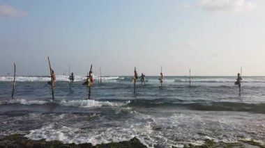 Balıkçılar okyanustaki sazlıklarda dengede duruyorlar, Galle, Sri Lanka 'da geleneksel balıkçılık teknikleri uyguluyorlar.