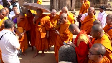 Turuncu cüppeli Budist rahipler, bir rehber ayrıntıları açıklarken yerdeki bir levreği inceliyorlar.