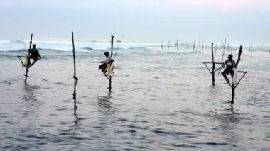 Sörfçü, Galle, Sri Lanka 'da, okyanustaki sütunlara tünemiş çok sayıda balıkçının önünden kürek çekiyor.