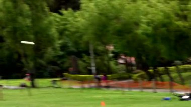 Sporcular parkta koşup zıplıyorlar. Heyecan verici frizbi oyunu sırasında uçan bir disk yakalıyorlar.