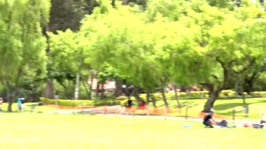 Sporcular güneşli bir parktaki çimenli bir alanda koşup uçan bir disk yakalıyorlar, takım çalışması ve yetenek sergiliyorlar.