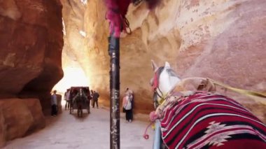 At arabalarına binen turistler Petra, Ürdün 'deki dar geçitten geçip ikonik hazineye doğru yol alıyorlar.