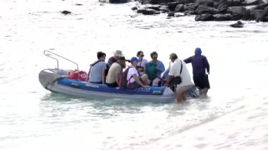 Turistler zodyak teknesinden Galapagos adalarındaki el değmemiş beyaz kumsala iniyorlar.