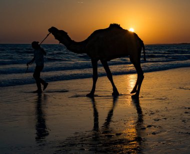 Bir deve silueti ve bir sahil boyunca gün batımı arkaplanı ile yürüyen atlı.