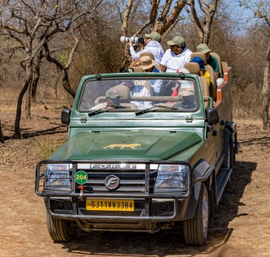 Bir grup gezgin, engebeli açık bir cipte vahşi yaşam safarisinin tadını çıkarıyor.