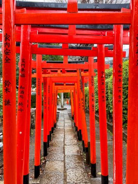 Canlı kırmızı torii kapıları, içinde kanji yazıtları olan huzurlu bir Japon türbesinde bir yol çiziyor.