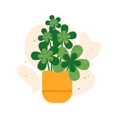 Turuncu tencerede yeşil bir saksı