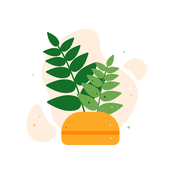 Dekorative Zimmerpflanze — Stockvektor