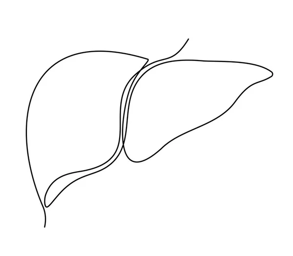 Fígado Humano Estilo Arte Uma Linha Mês Conscientização Fígado Desenho — Vetor de Stock
