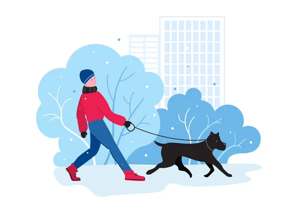 一个男孩在冬天的公园遛狗 走你的狗月 男人们用皮带在公园里遛狗 矢量说明 — 图库矢量图片