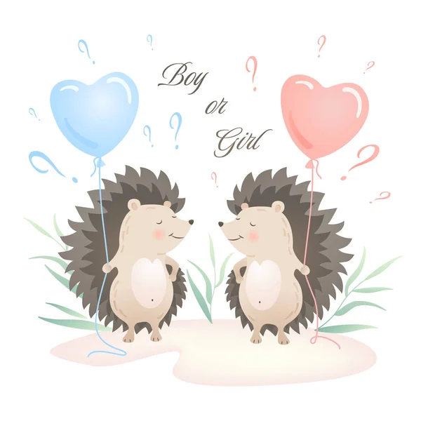 Girl or boy. He or she Baby shower invitation or banner template. Cute hedgehogs and helium balloons. Vector illustration