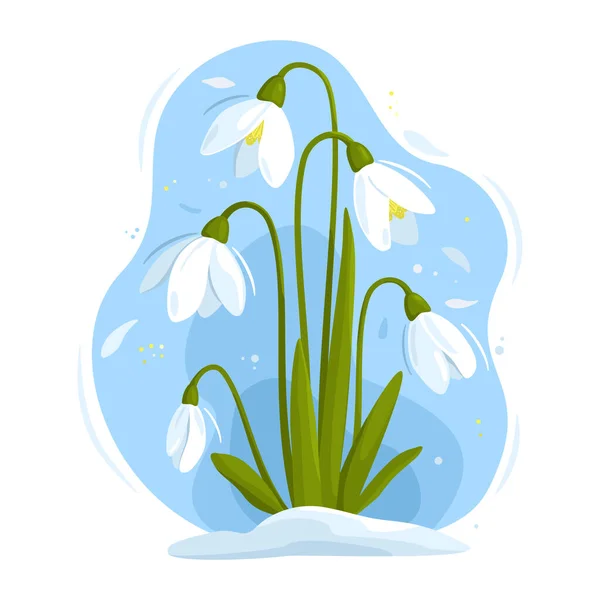 Flores Nevadas Blancas Con Hojas Que Crecen Nieve Contra Cielo — Vector de stock
