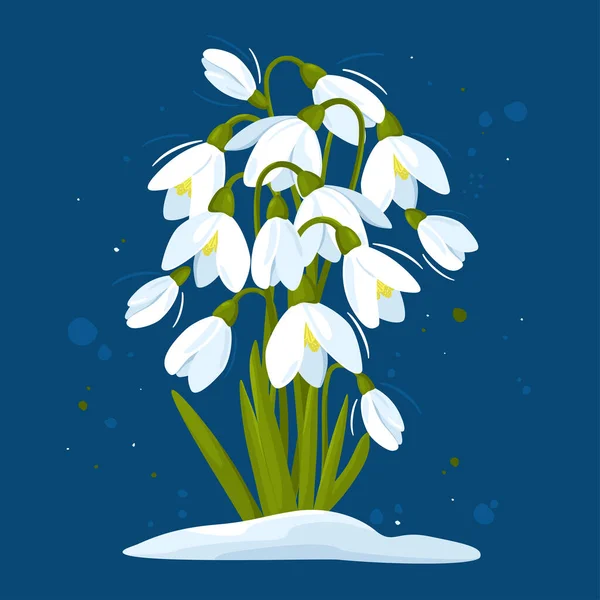 Hallo Frühling März Weiße Blüten Schneeglöckchen Blühen Durch Den Schnee — Stockvektor