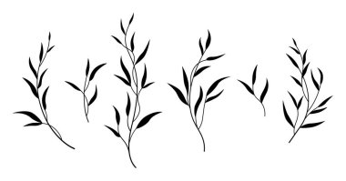 Düğün dekorasyonu için minimalist bitki unsurları, davetiyeler, tebrik kartları, logolar, bloglar, web, posterler. Botanik kırsal moda yeşillik. İzole vektör illüstrasyonu