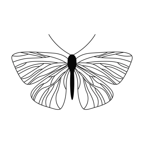 Elegante Silueta Mariposa Filigrana Para Logotipo Tatuaje Decoración Diferente — Vector de stock