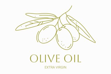 Dal üstünde zeytin. Konserve zeytin, yağ, zeytin çiftliği, tebrik kartları, düğün davetiyeleri, zeytinyağı ürünleri ambalajları, sabun, doğal organik kozmetik ürünleri ve güzellik ürünleri için zarif logo tasarımı