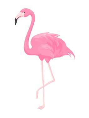 Pembe flamingo. Beyaz arkaplanda vektör çizimi izole edildi. Egzotik tropikal kuş. Parmak izi tasarımı, ambalaj, duvar kağıdı, kumaş, tebrik kartı, bebek partisi için.