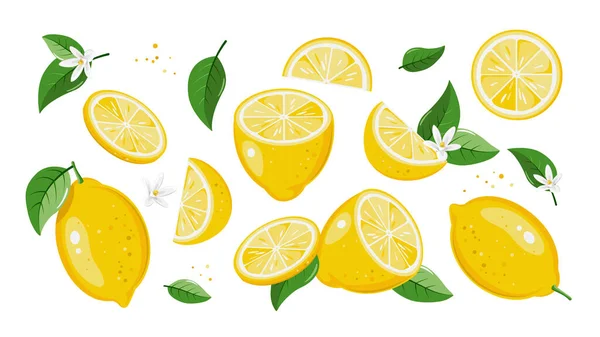 Zitronensammlung Tropisches Set Mit Gelben Zitronen Und Zitronenscheiben Vektor Illustration — Stockvektor