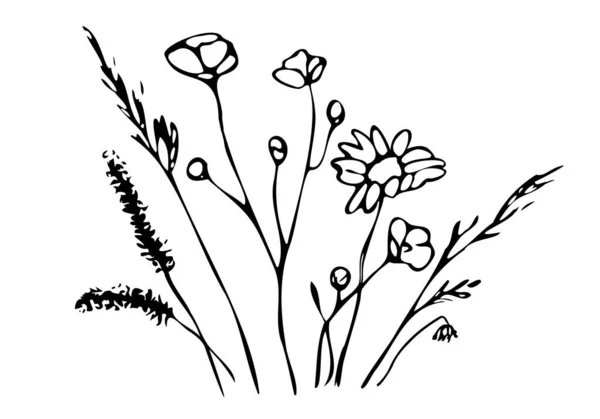 Dzika Łąka Zioła Kwiaty Botaniczny Czarny Wektor Ilustracji Stylu Doodle — Wektor stockowy