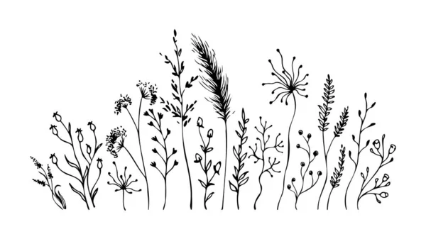 Svarta Silhuetter Ängsörter Gräs Blommor Fält Handritad Skiss Vektor Illustration — Stock vektor