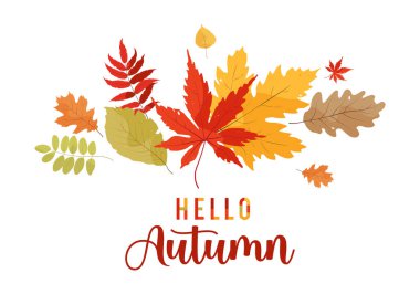 Merhaba güz tabiri, elle çizilmiş güzel renkli parlak yapraklarla süslenmiş. Beyaz arkaplanda vektör çizimi. Tebrik kartları, satış veya reklam afişleri, el ilanları, web afişleri için