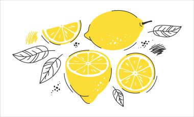 Sarı limonlar, limon meyveleri, dilimler, yapraklar, narenciye, limonata. Afişler, kartlar, el ilanları, ürün tasarımı, limon logosu, sosyal medya duvar kağıtları vs. için tropik set. Vektör illüstrasyonu beyazda izole edildi