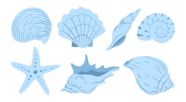 Deniz kabukları, deniz yıldızı, su yumuşakçaları. Tropik plaj kabukları. Merhaba Summer, tatil. Kutlama kartları, markalaşma, logo tasarımı, düğün davetiyeleri, posterler, kartpostallar için vektör denizaltı koleksiyonu