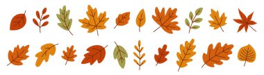 Güzel Sonbahar Yaprakları. Sonbahar sezonu. Hasat et. Şablon, afiş, çıkartma, Hello Autumn kartları için sonbahar yaprakları hazır. Düz vektör çizimi beyaz arkaplanda izole edildi