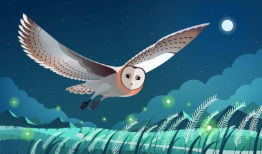 Doğu çim baykuşu çim tarlasında ateş böcekleriyle uçuyor. Huzurlu yıldızlı gece ve dolunay.