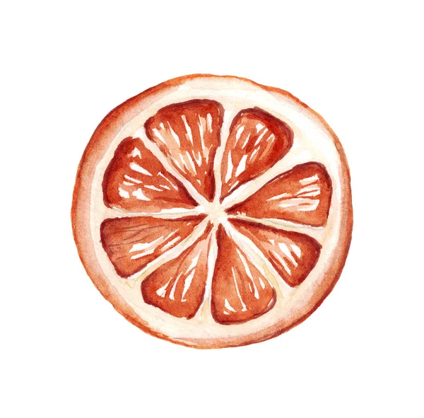 Orange Aquarell Cliparts Handgemalte Illustration — Stockfoto