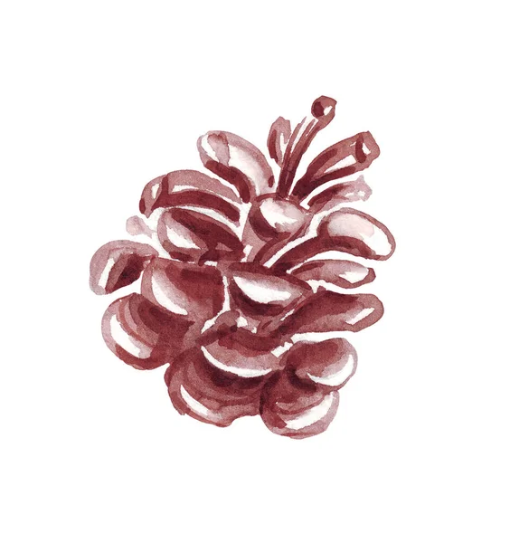 Pine Cone Watercolor Clipart Hand Painted Illustration — Stock Photo, Image