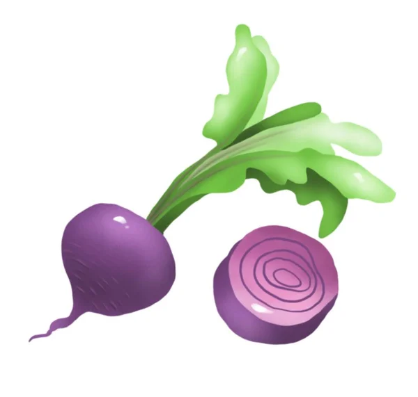 Rüben Gemüse Digitale Illustration — Stockfoto