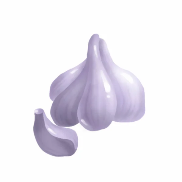 Garlic Vegetable Digital Illustration — Stock Photo, Image