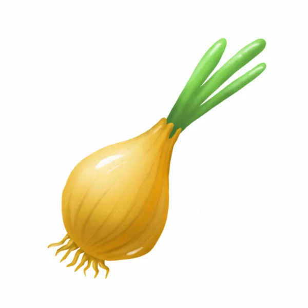 Onion Vegetable Digital Illustration — Stock Photo, Image