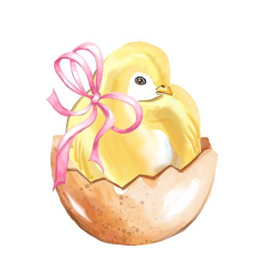 Yumurta kabuklu şirin tavuk. Suluboya çizimi