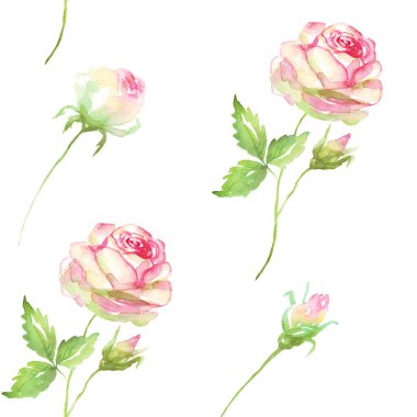 Sulu boya pembe Gül seamless modeli