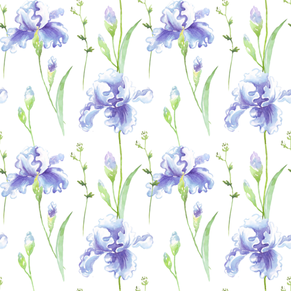 Mavi suluboya süsen ile kusursuz çiçek deseni