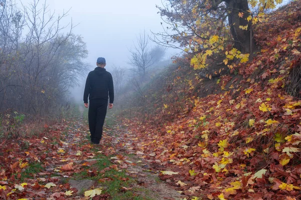 Autumn morning fog. A man walks along a path covered with fallen autumn leaves