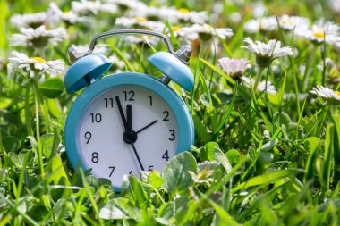 Blue alarm clock in green grass with daisy flowers. Daylight saving time concept, time saving concept clipart