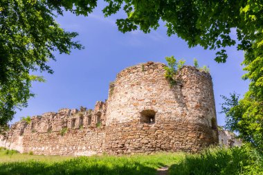 Ağaç dalları çerçevesinde antik bir kalenin kulesi ve duvarları. Mykulyntsi, Ternopil bölgesindeki kalenin kalıntıları, Ukrayna