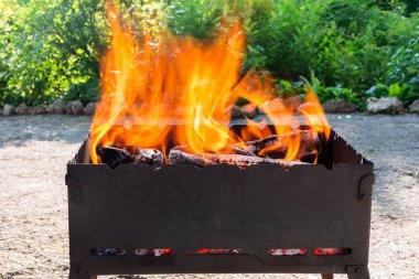 Izgarada bir ateş yanıyor. Piknikte et kızartma hazırlığı