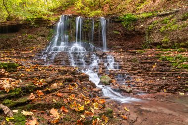 Ormandaki bir dağ deresinin üzerindeki resim gibi şelale. Rusiliv şelalesinin çağlayanlarından biri. Rusylov, Ternopil bölgesi, Ukrayna