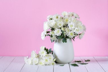 Vazonun içinde pembe bir arka planda duran güzel bir buket beyaz kasımpatı